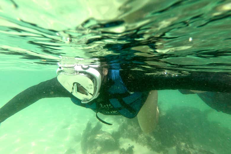 Snorkel na praia da Sepultura