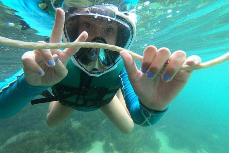 Durante o snorkel na praia da Sepultura