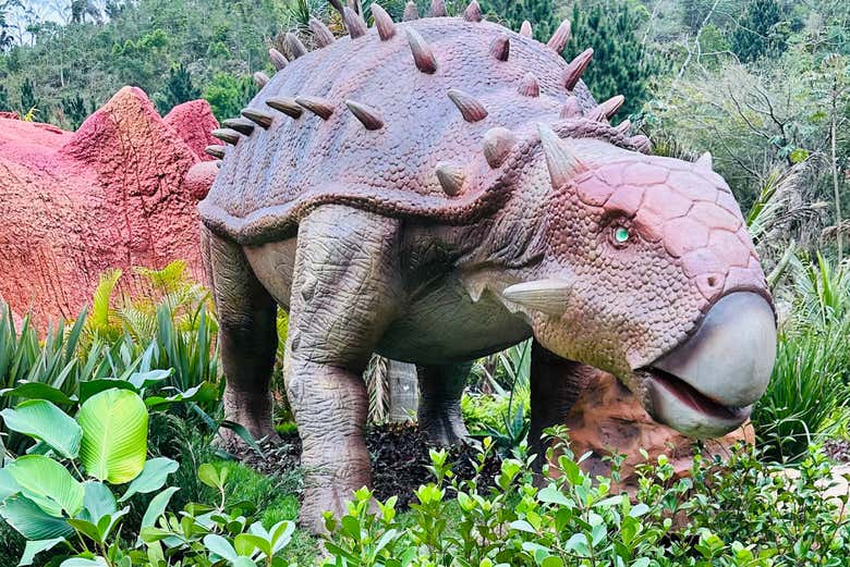 Make the most of your visit to Brazil!