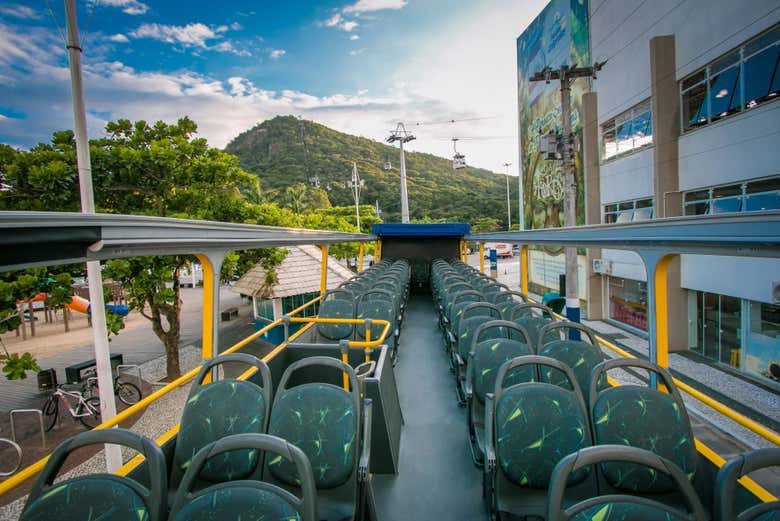 Você desfrutará de vistas incríveis durante o passeio