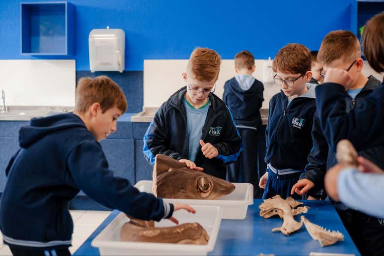 Learn about different marine animals