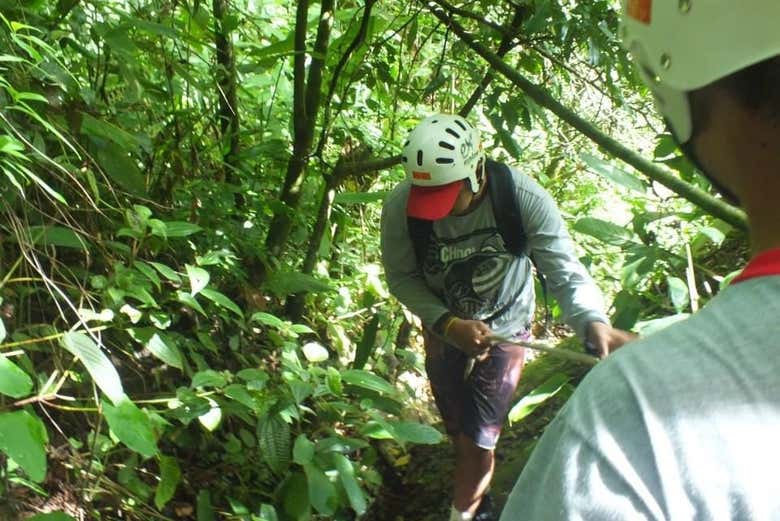 Randonnée à travers la végétation luxuriante