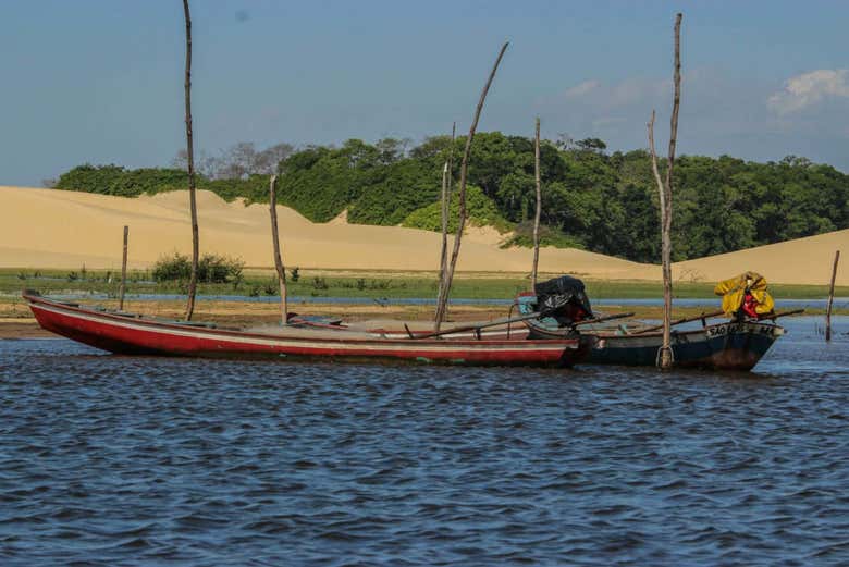 Descobrindo bonitas paisagens junto ao rio