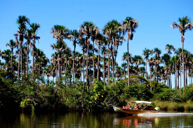 Sailing down the river in a speedboat