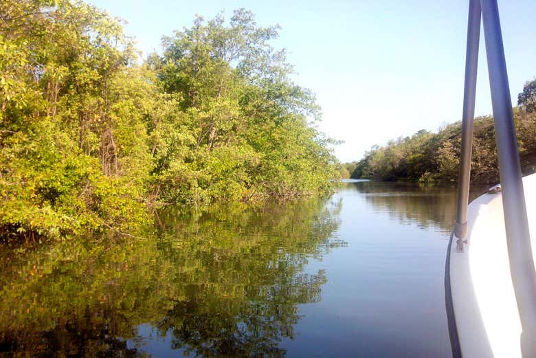 Sailing along the Parnaiba river