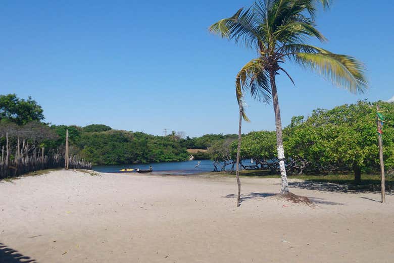 Betânia
