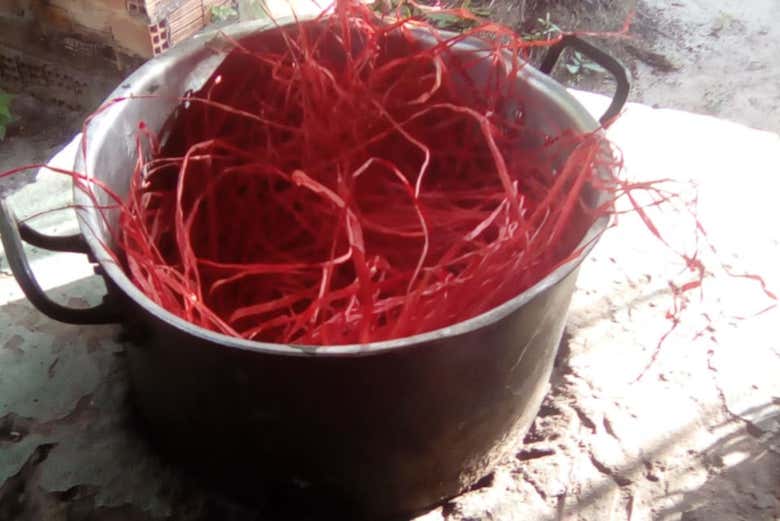 Fibre della palma di burití