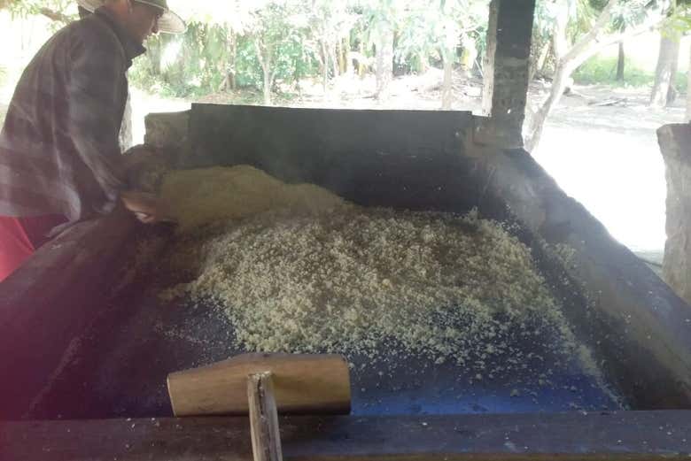 Fabbricando la farina di manioca