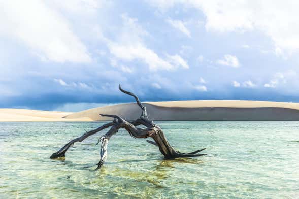 Trilha privada pelas lagoas Azul e Bonita