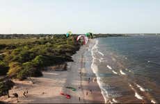 Excursión a la bahía de Marajó