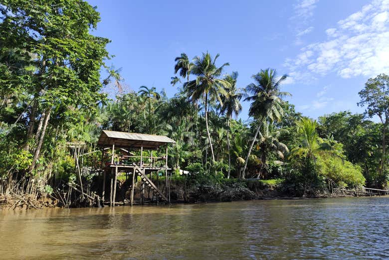 Veremos los paisajes de la isla Combú