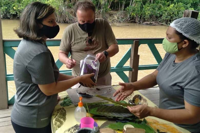 Aprendendo sobre o chocolate amazônico