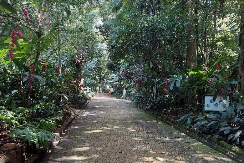 Durante o tour pelos parques amazônicos de Belém