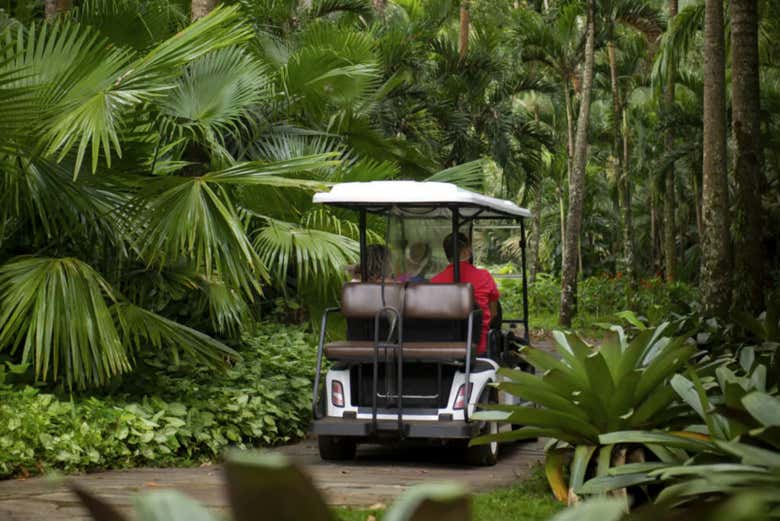 Transporte interno del Instituto Inhotim entre la naturaleza