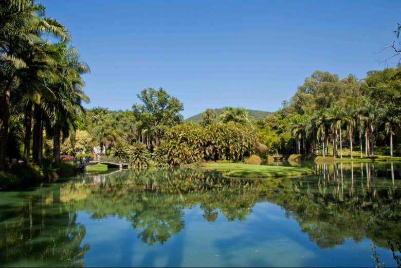 Jardines del Instituto Inhotim