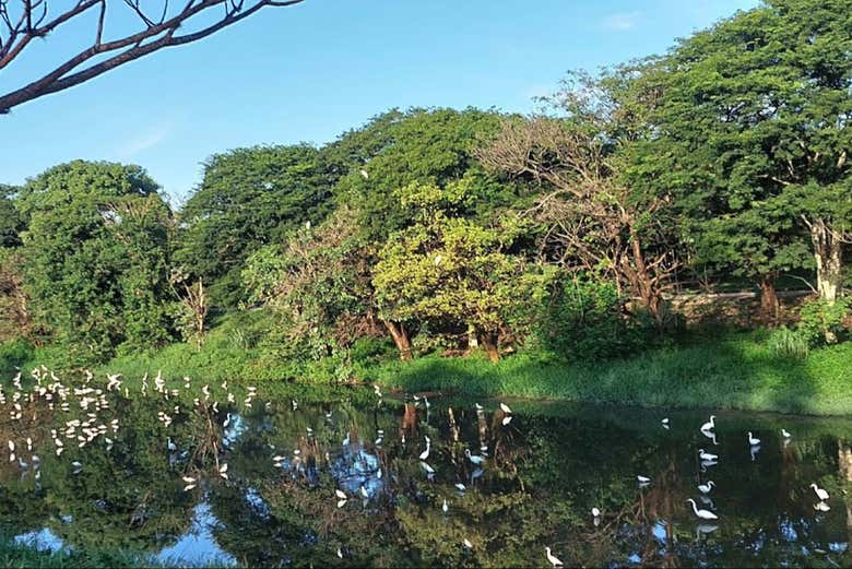 A área verde da Pampulha