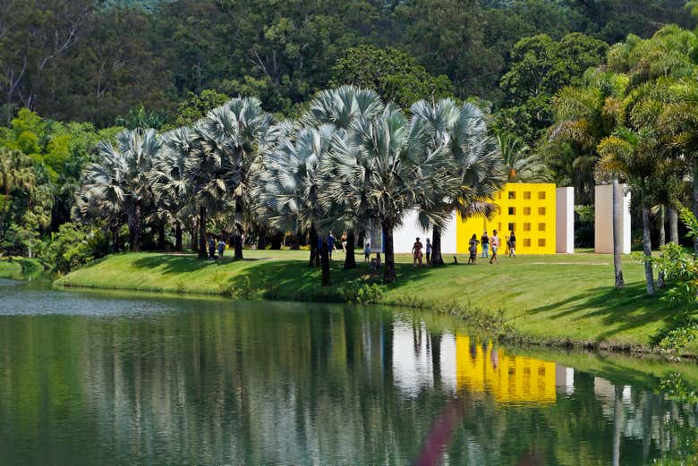 Jardín del museo al aire libre Instituto Inhotim