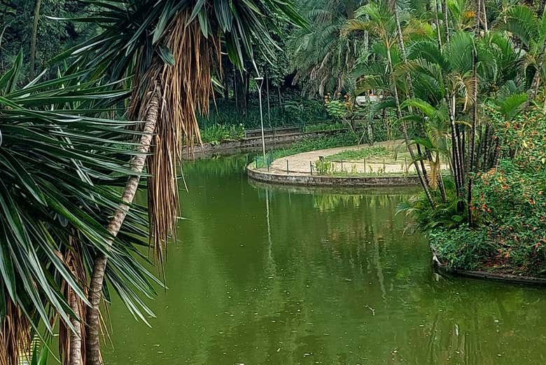 Un oasis en la ciudad de Belo Horizonte