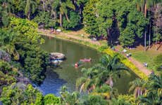 Belo Horizonte Municipal Park + Palace of the Arts Tour
