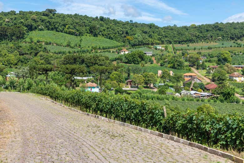 El paisaje de Vale dos Vinhedos