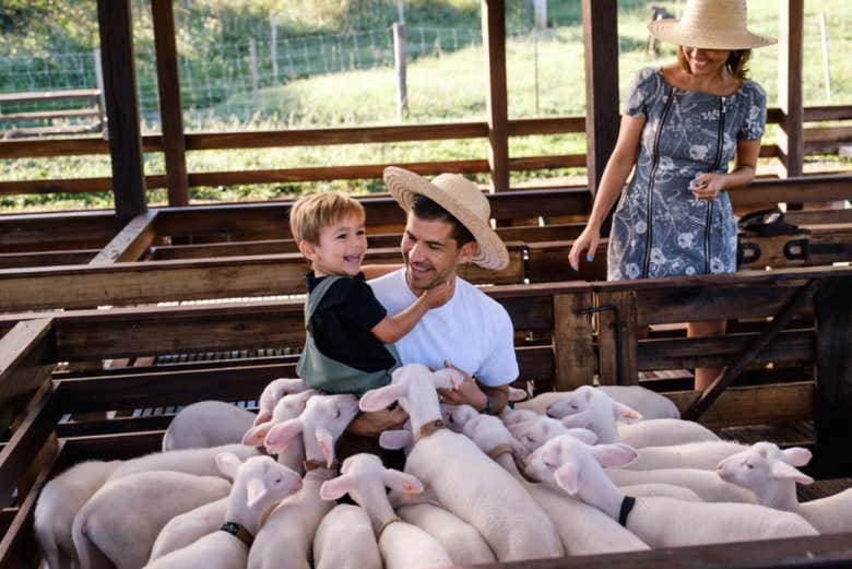 Visitando una granja