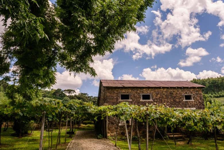 Paisajes de los Caminhos de Pedra