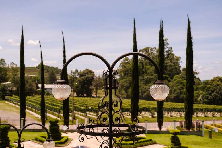Hacienda vinícola familiar