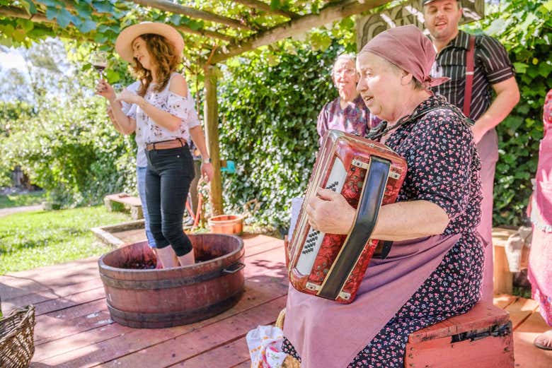 Pisando las uvas al son de la música