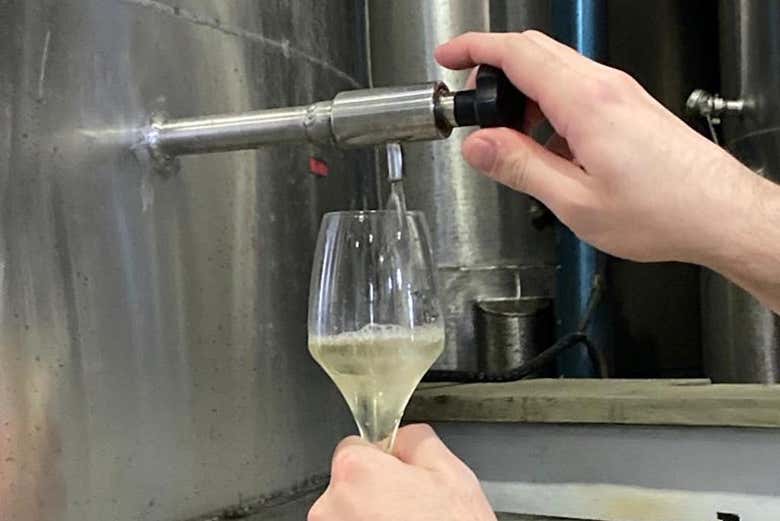 Conoceremos el proceso de producción del champán