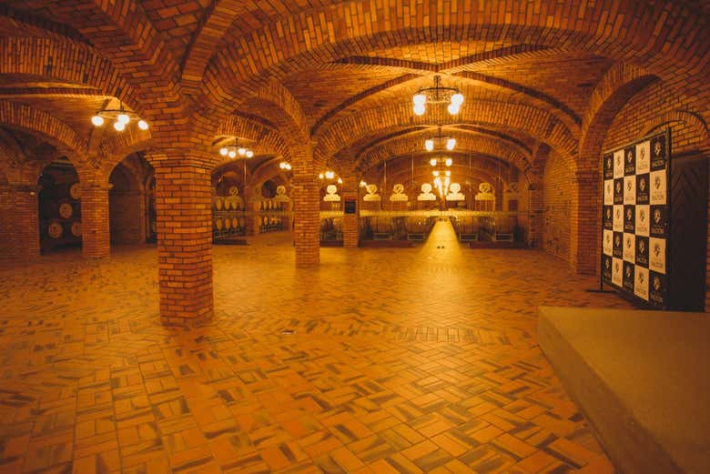 Cavas de la bodega Salton