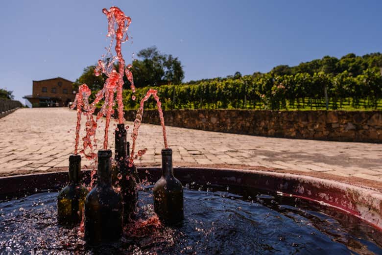 Fuente de vino