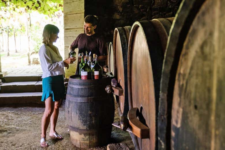 Degustando vinos