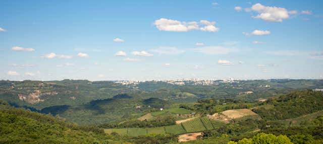 Vale dos Vinhedos Winery Tour