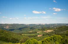 Tour pelas vinícolas do Vale dos Vinhedos