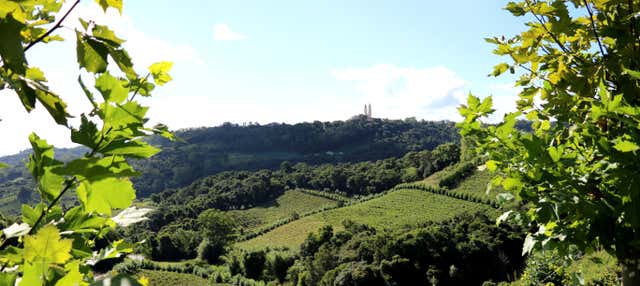 Salton Winery Visit + Cachaça Tasting