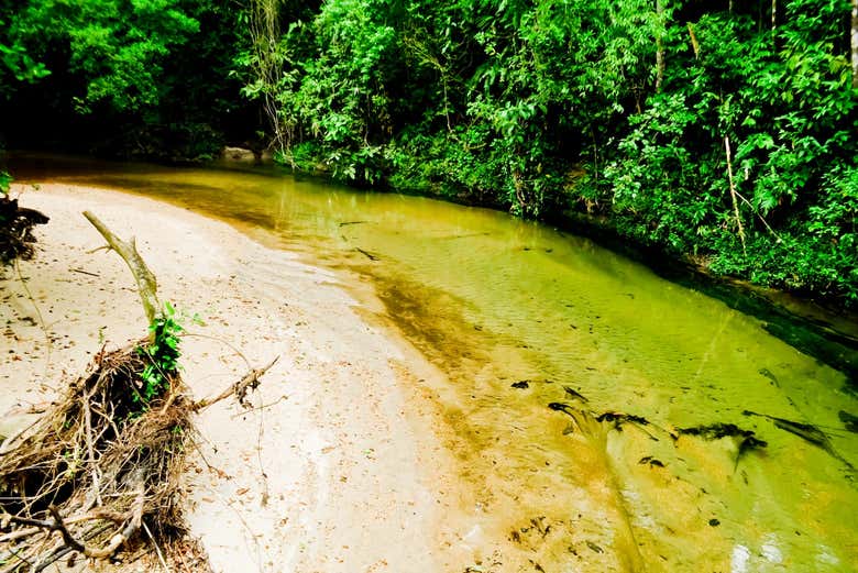 Natureza de Bertioga