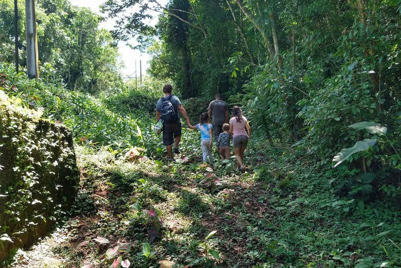 Caminhada em família