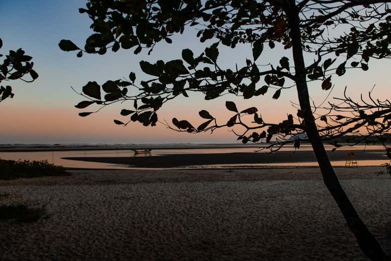 Trilha na praia de Itaguaré