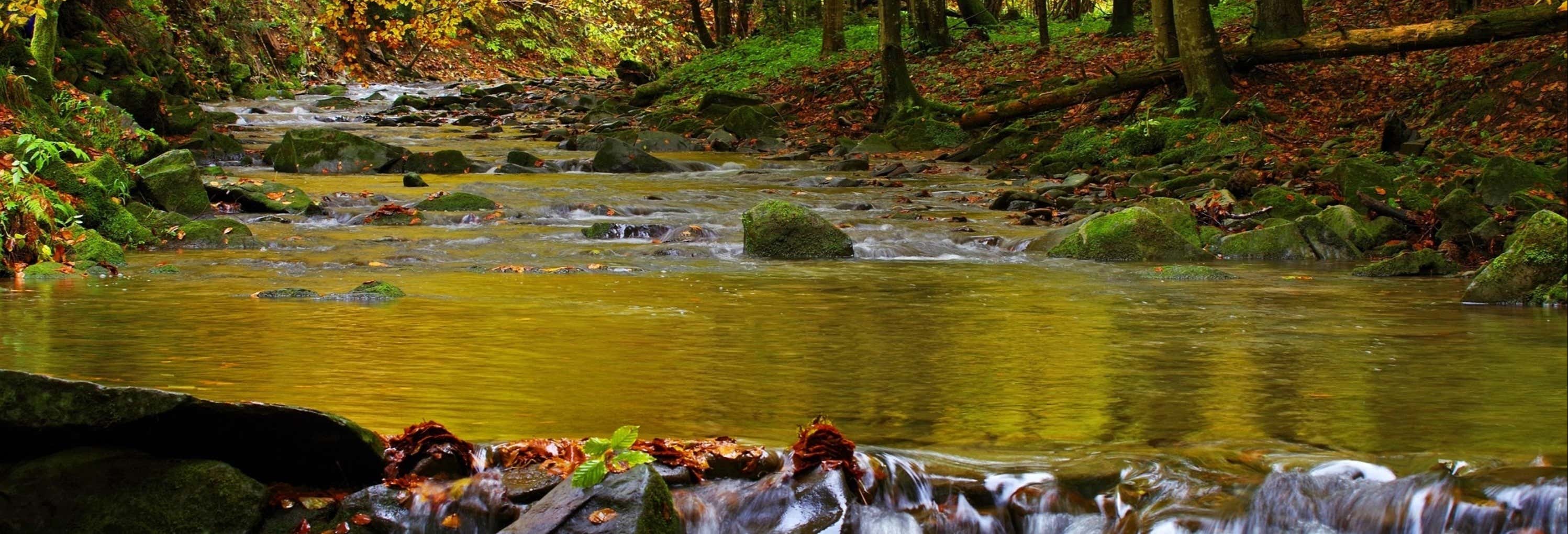 Caminhada / Trekking em Bertioga
