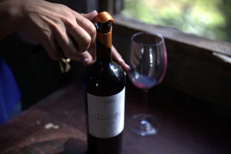 Durant la dégustation