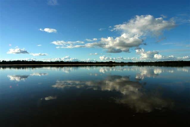 Águas tranquilas do rio Branco