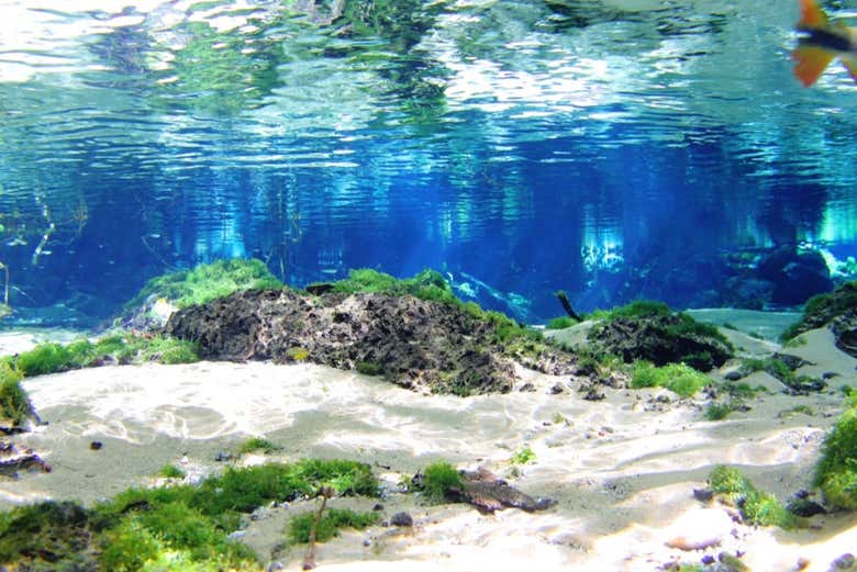 Aguas cristalinas