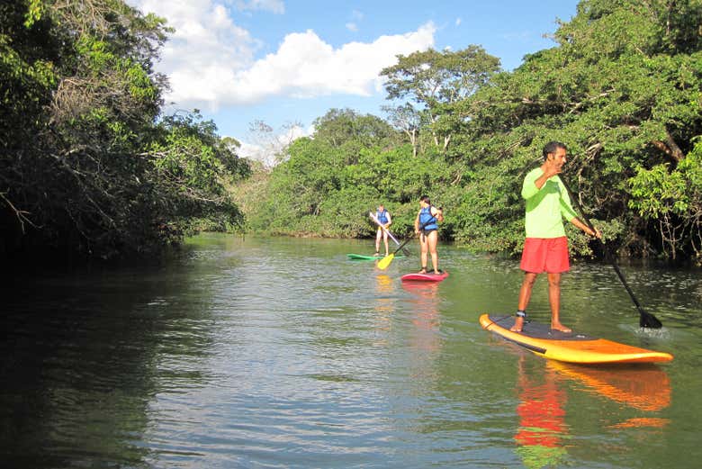 Paddle surf en Eco Park Porto da Ilha