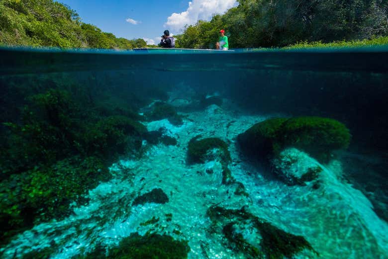 Águas cristalinas do rio Sucuri
