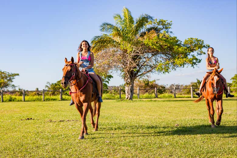 Explore the beautiful grounds of Fazenda Ceita Corê