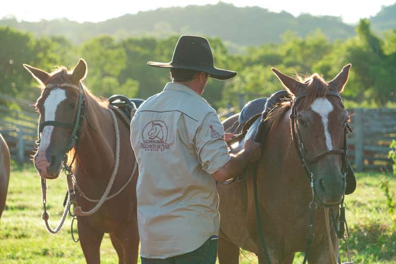Preparando os cavalos para o passeio