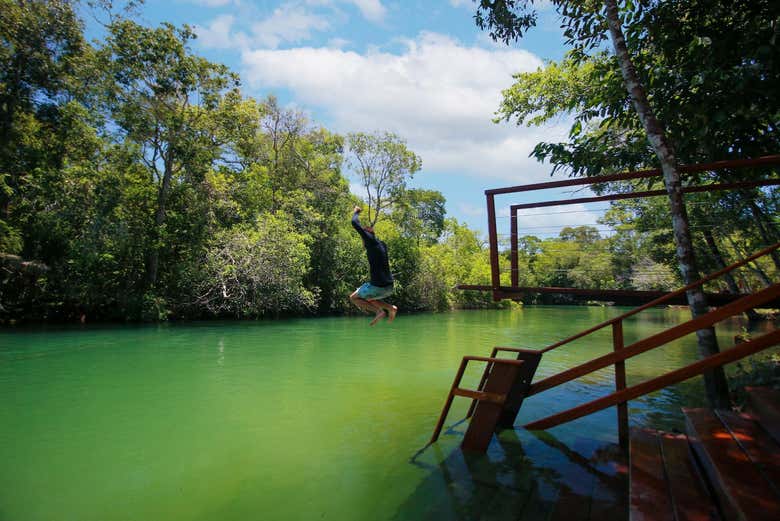 Pulando do trampolim