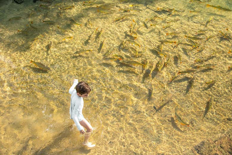 Águas cristalinas do balneário