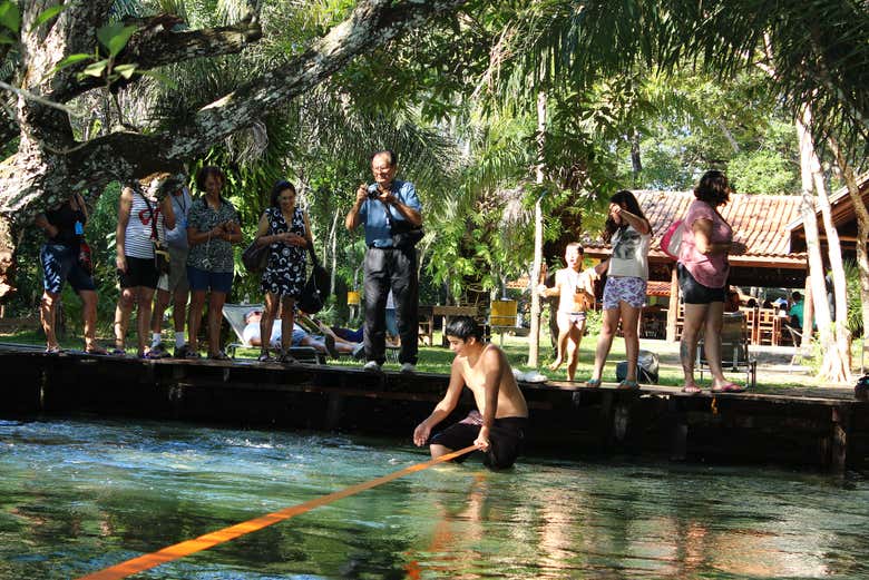 Eco Park Porto da Ilha