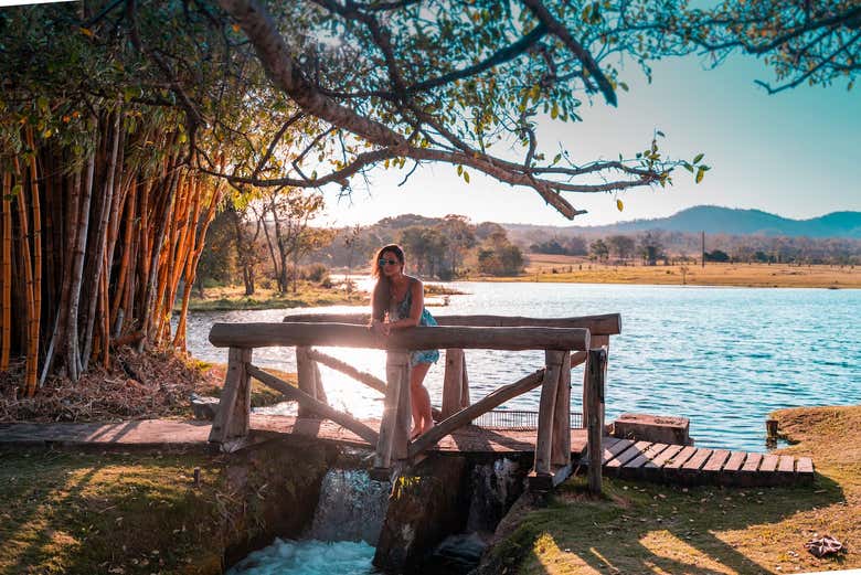 Visitando la Fazenda Ceita Corê